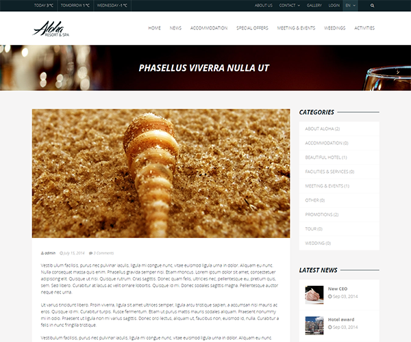 Сайт для отеля и гостиницы под ключ Aloha — онлайн‑бронирование | Аплайк