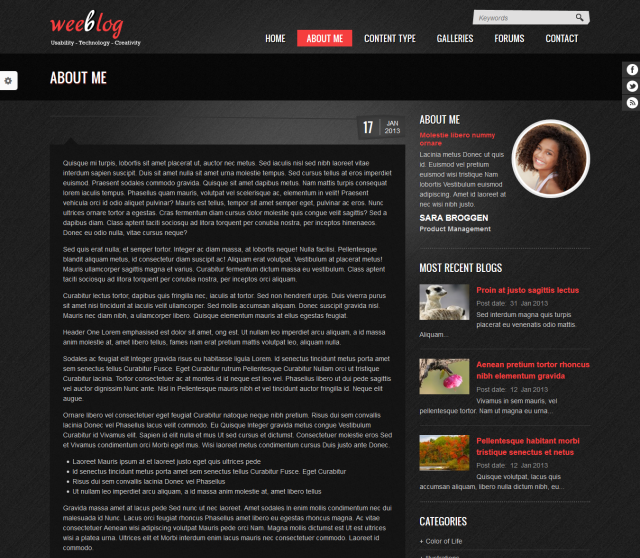 Сайт для блога Personal Blog под ключ — статьи, комментарии и форум | Аплайк