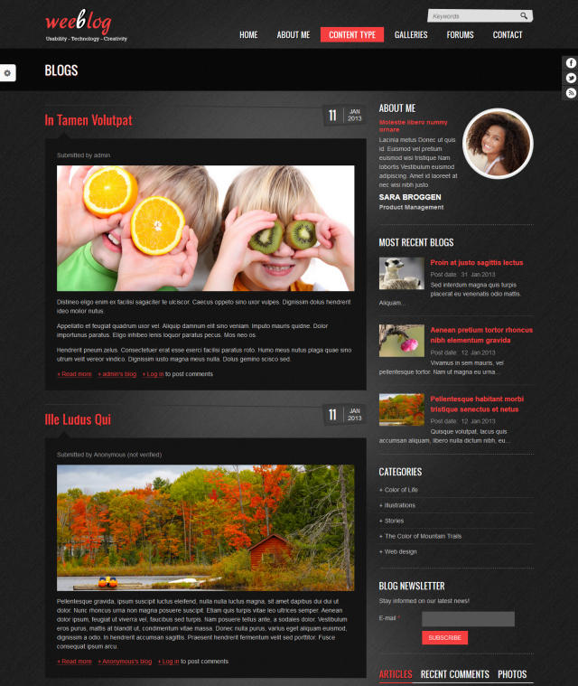 Сайт для блога Personal Blog под ключ — статьи, комментарии и форум | Аплайк