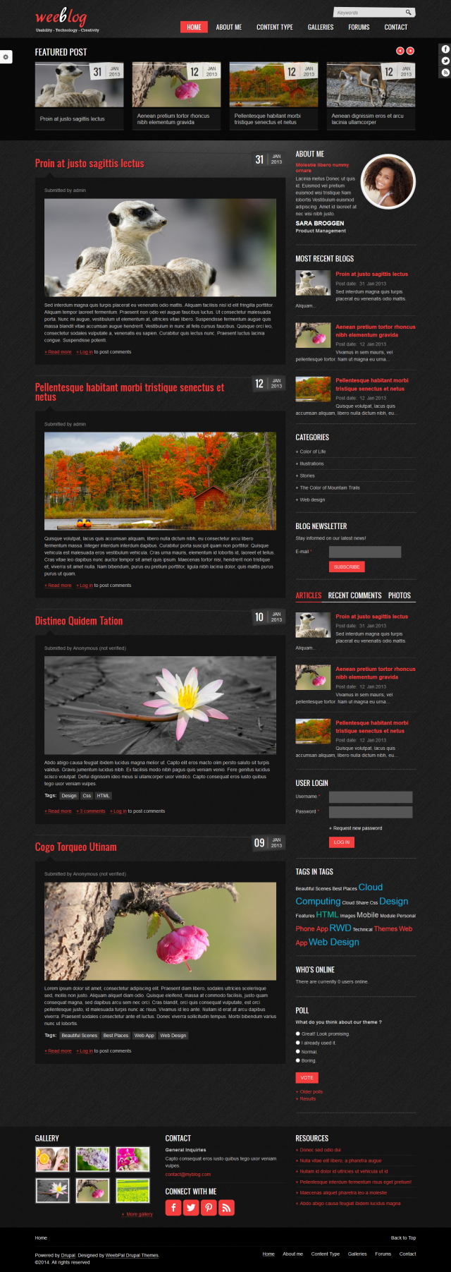 Сайт для блога Personal Blog под ключ — статьи, комментарии и форум | Аплайк