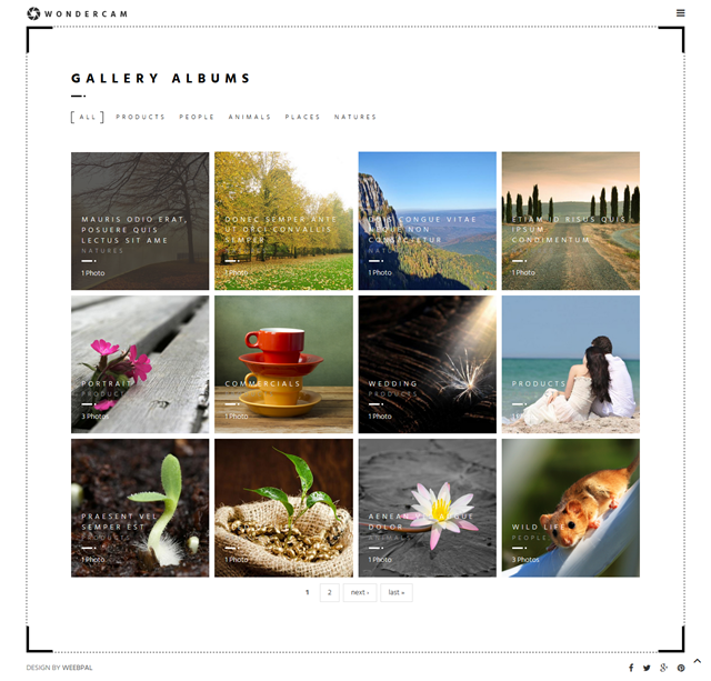 Сайт фотографа Photos под ключ — портфолио, фильтры и фотоблог на Drupal | Аплайк